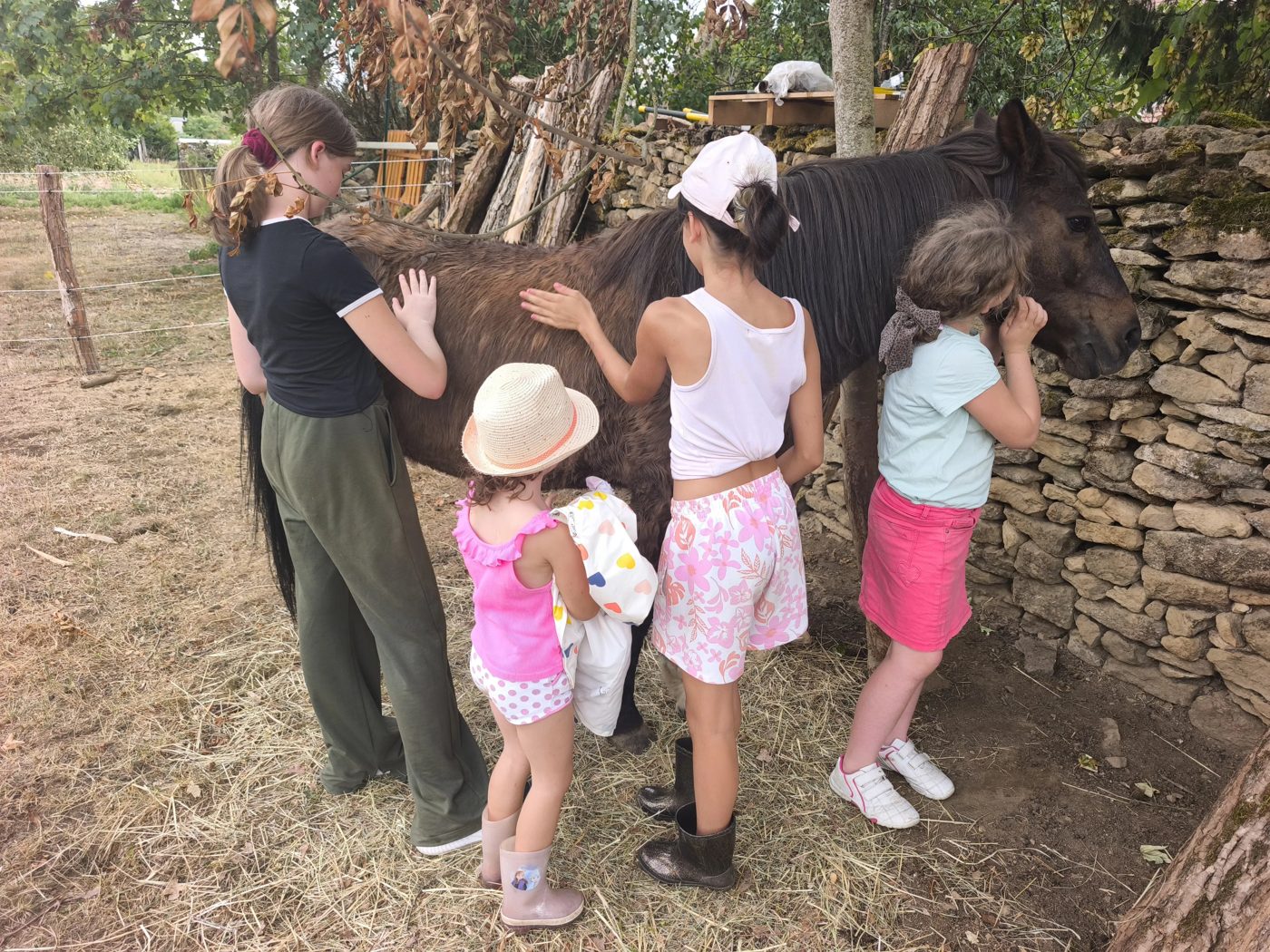 Médiation animale avec un cheval