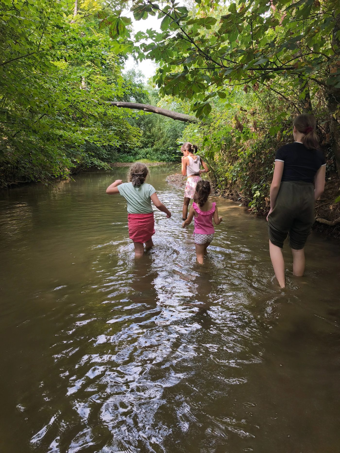 Sortie nature, activité de médiation par la nature