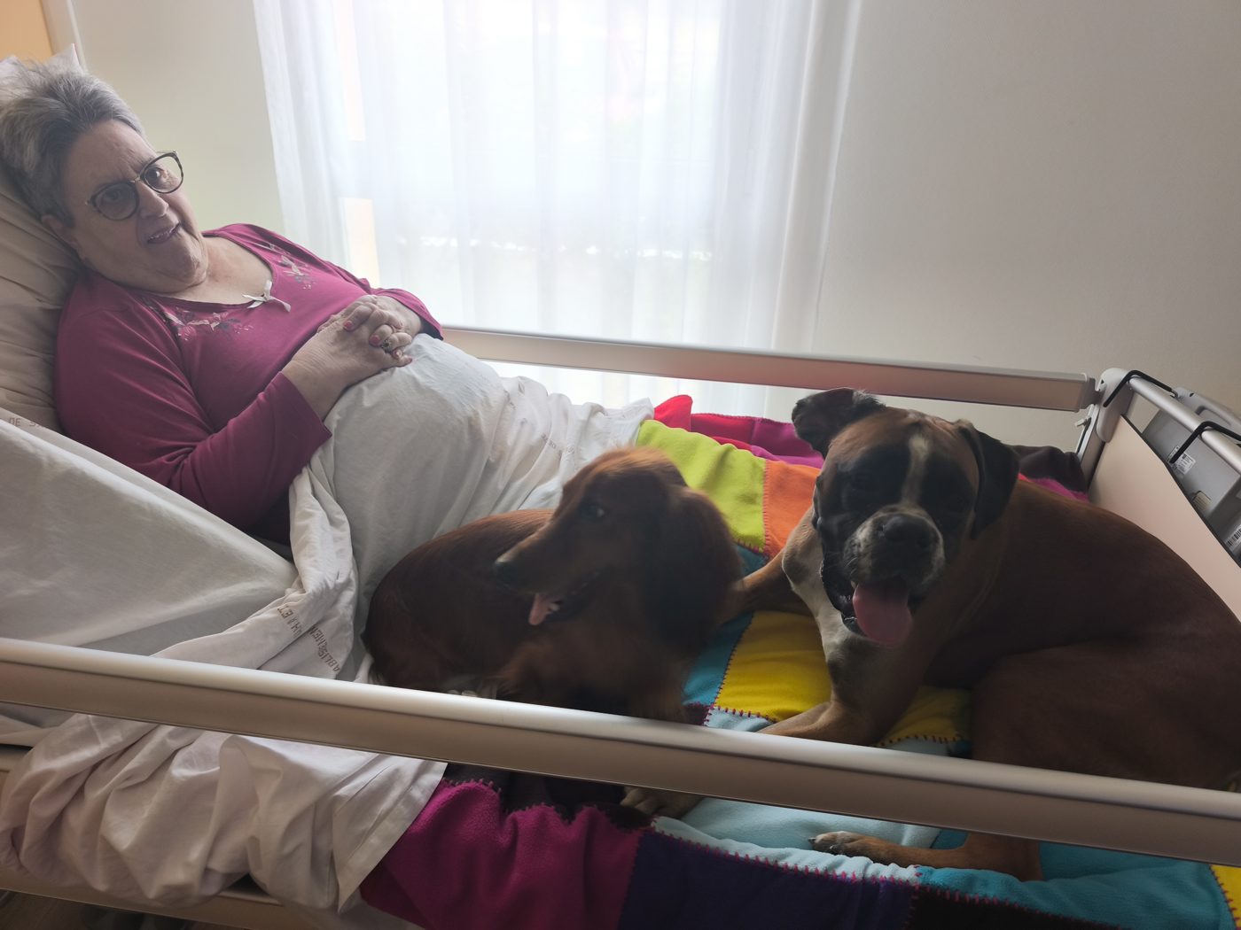 Visite de chiens de médiation auprès d'une personne accompagnée